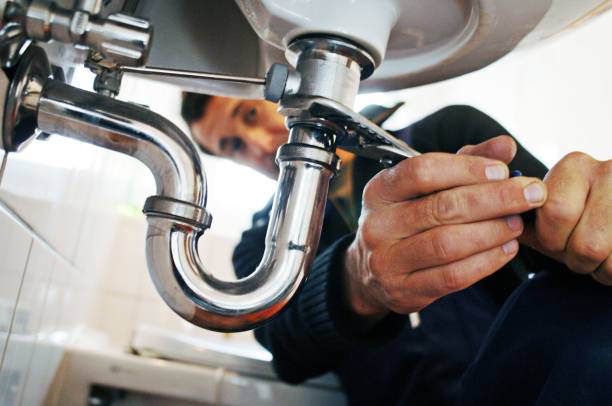 Best Local Plumber Services  in Cary, IL
