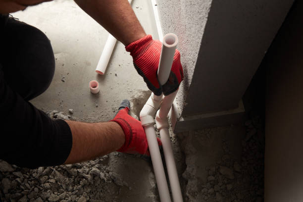 Best Plumbing Services Near Me  in Cary, IL