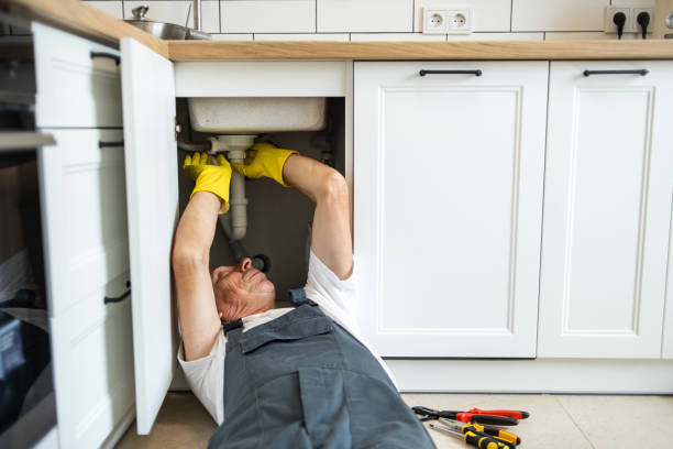 Best Leak Detection Services  in Cary, IL