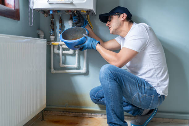Best Plumbing Inspection Services  in Cary, IL