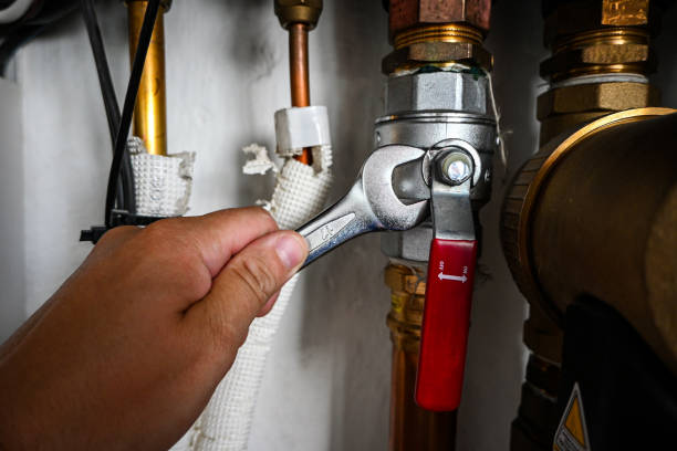 Best Plumbing Installation Services  in Cary, IL